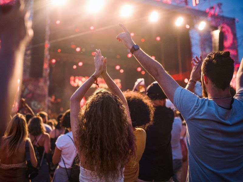 people at an outdoor concert