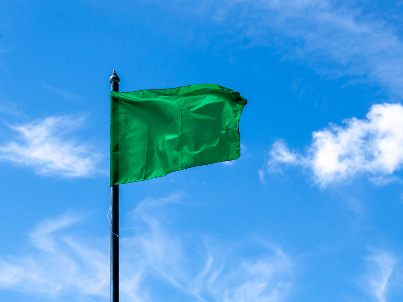 solid green flag flying in front of a blue sky